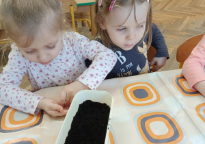 Dziewczynki wysiewają nasiona