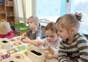 Dzieci wysiewają nasiona