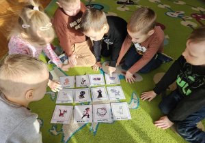 Dzieci rozpoznają znane postacie kotków