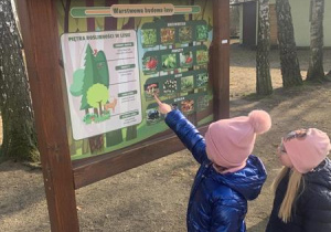Dzieci poznają budowę lasu