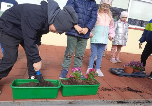 Myśliciele sadzą kwiatki