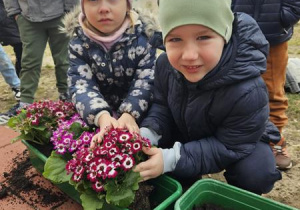 Chłopiec i dziewczynka sadzą kwiatki