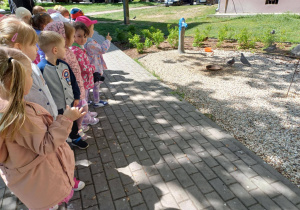 Dzieci obserwują ptaki