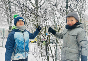 Chłopcy wieszają pokarm dla ptaków