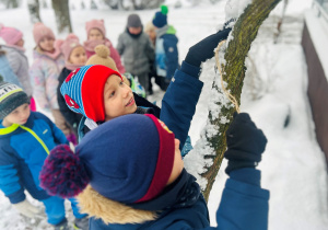 Wynalazcy dokarmiają ptaki