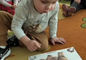 Dzieci podczas zajęć z okazji Dnia Kota