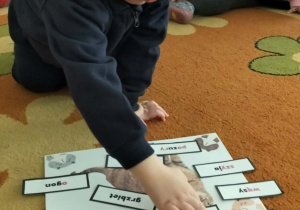 Dzieci podczas zajęć z okazji Dnia Kota