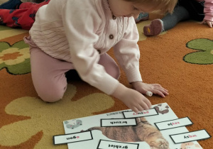 Dzieci podczas zajęć z okazji Dnia Kota