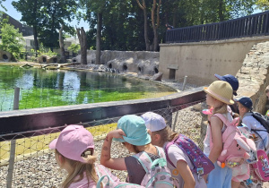 Dzieci wypatrują pingwinów