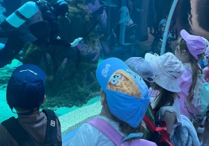 Dzieci w oceanarium oglądają pracę nurków
