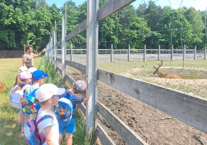 Dzieci podczas wycieczki oglądają zwierzęta