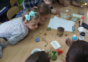 Dzieci obserwują różne przedmioty