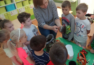 Przedszkolaki oglądaja korzonki roślin