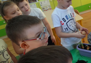 Wynalazcy sadzą roślinki