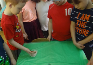 Przedszkolaki oglądają nasionka