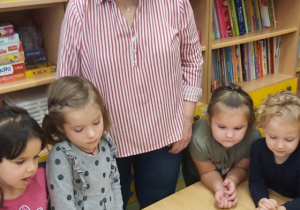 Tropiciele obserwują co będzie się działo