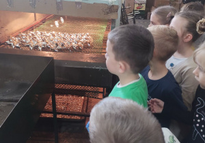 Dzieci obserwują malowanie bombek