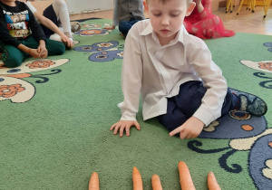 Chłopiec układa marchewki