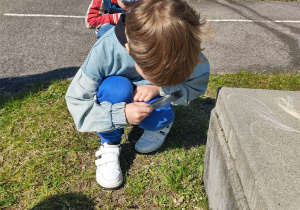Chłopiec obserwuje owady przez lupę