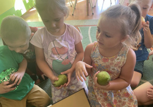 Dzieci poznają owoce z jesiennego sadu