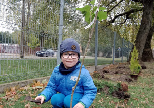 Chłopiec sadzi drzewko
