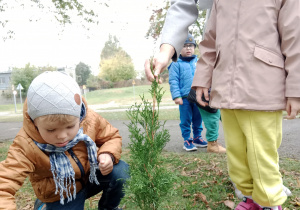Chłopiec z dziewczynką sadzą drzewko