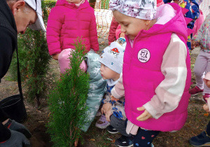 Dzieci pomagają sadzić drzewka