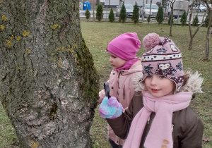 Dzieci oglądają korę drzewa