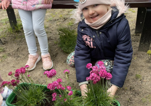 Dziewczynka sadzi kwiatki