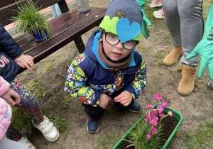 Chłopiec sadzi kwiatki