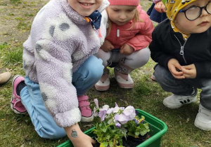 Dziewczynka sadzi kwiatki