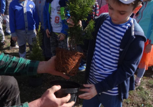 Dzieci sadzą krzewy