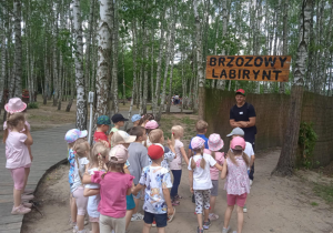 Zdjęcie 16 na 33