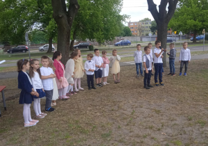 Zdjęcie 14 na 36