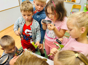 Warsztaty- "Przyroda jest ciekawa"