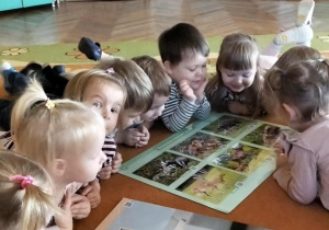 Maluchy oglądają plansze ze zwierzętami
