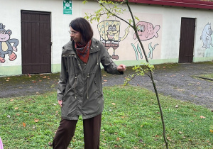 Nauczycielka pokazuje drzewo