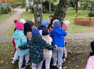 Dzień Drzewa w naszym przedszkolu