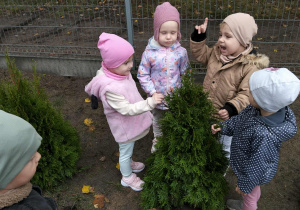 Dzieci z grupy Poszukiwacze sadzą drzewa