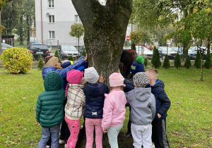 Nauczycielka wraz z dziećmi tuli się do drzewa