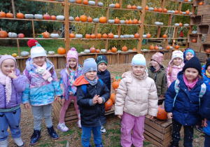 Dzieci z grupy Tropiciele pozują do zdjęcia z dyniami