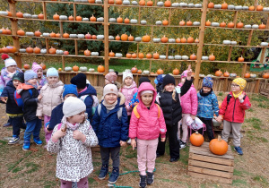 Dzieci z grupy Tropiciele pozują do zdjęcia z dyniami