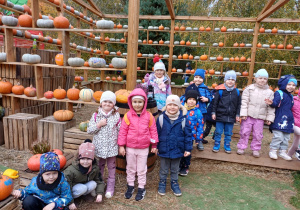 Dzieci z grupy Tropiciele pozują do zdjęcia z dyniami