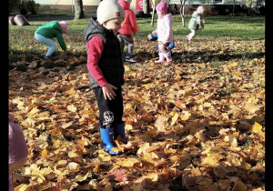 Chłopiec bawi się w ogródku przedszkolnym