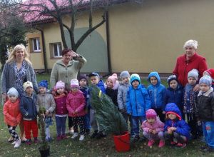 10 października 2017 r. - Dzień Drzewa