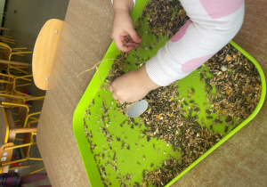 Dziecko wykonuje karmnik dla ptaków