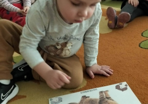 Dzieci podczas zajęć z okazji Dnia Kota