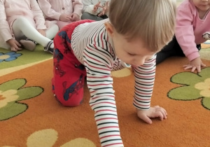 Dzieci podczas zajęć z okazji Dnia Kota