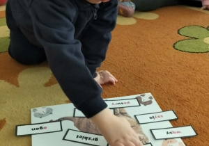 Dzieci podczas zajęć z okazji Dnia Kota