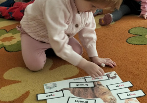 Dzieci podczas zajęć z okazji Dnia Kota